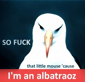 I'm An Albatraoz Original АЛЬБАТРОС