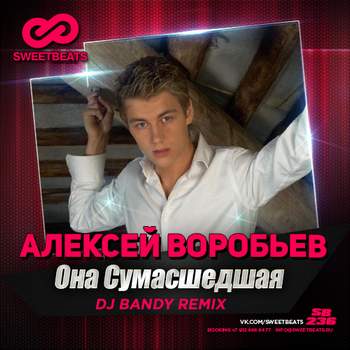 Она сумасшедшая, но она моя (DJ Bandy Radio Mix) Алексей Воробьев