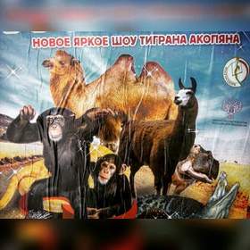 Армянский цирк ) Новый камеди клаб