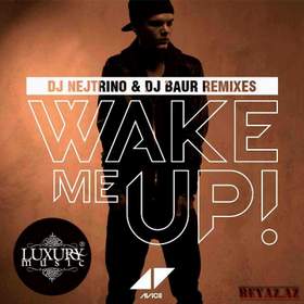 Wake_me_up (минус) Avicii и Aloe Blacc