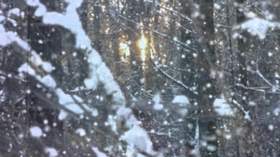 Белым снегом, ночь метельная ту стёжку замела Белым снегом