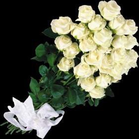 Букет из белых роз (Rmx) Букет из белых роз (Rmx)
