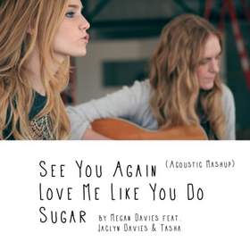 love me like you do/sugar/see you again cover