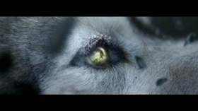 She Wolf (piano) David Guetta feat. Sia