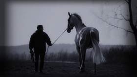 Выйду ночью в поле с конем Дима Каднай и Ко