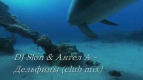 Все дельфины в ураган DJ Slon & Ангел-А