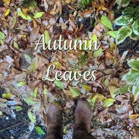 Autumn Leaves Ed Sheeran