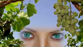 У моей любви глаза зеленые Эдуард Изместьев