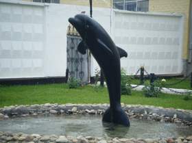 Черный дельфин Гио ПиКа