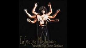 Riders On The Storm (Infected Mushroom Rmx) Infected Mushroom Presents The Doors Remixed