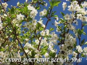 Скоро наступит весна (2015) Ямыч (Восточный округ)