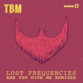 Are You With Me (Kungs Remix) Lost Frequencies
