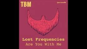 Are You With Me (Radio Edit) Lost Frequency