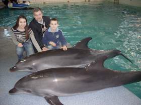А дельфины добрые Песни для детей
