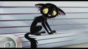 Песня про черного кота Песни из мультфильмов