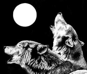 Что же такое любовь? Rwolf