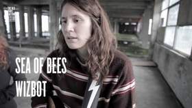 Wizbot Sea Of Bees