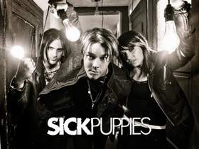 In It For Life Sick Puppies