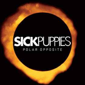You're Going Down [Acoustic Version] Sick Puppies
