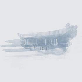 Bullet Train Acoustic (feat. Joni Fatora & Chris Petrosino) - Single Stephen Swartz