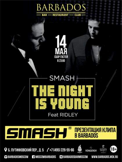 The Night Is Young (рингтон) DJ Smash feat. Ridley
