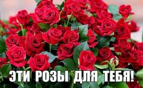 Эти розы для тебя Виктор Лекарь